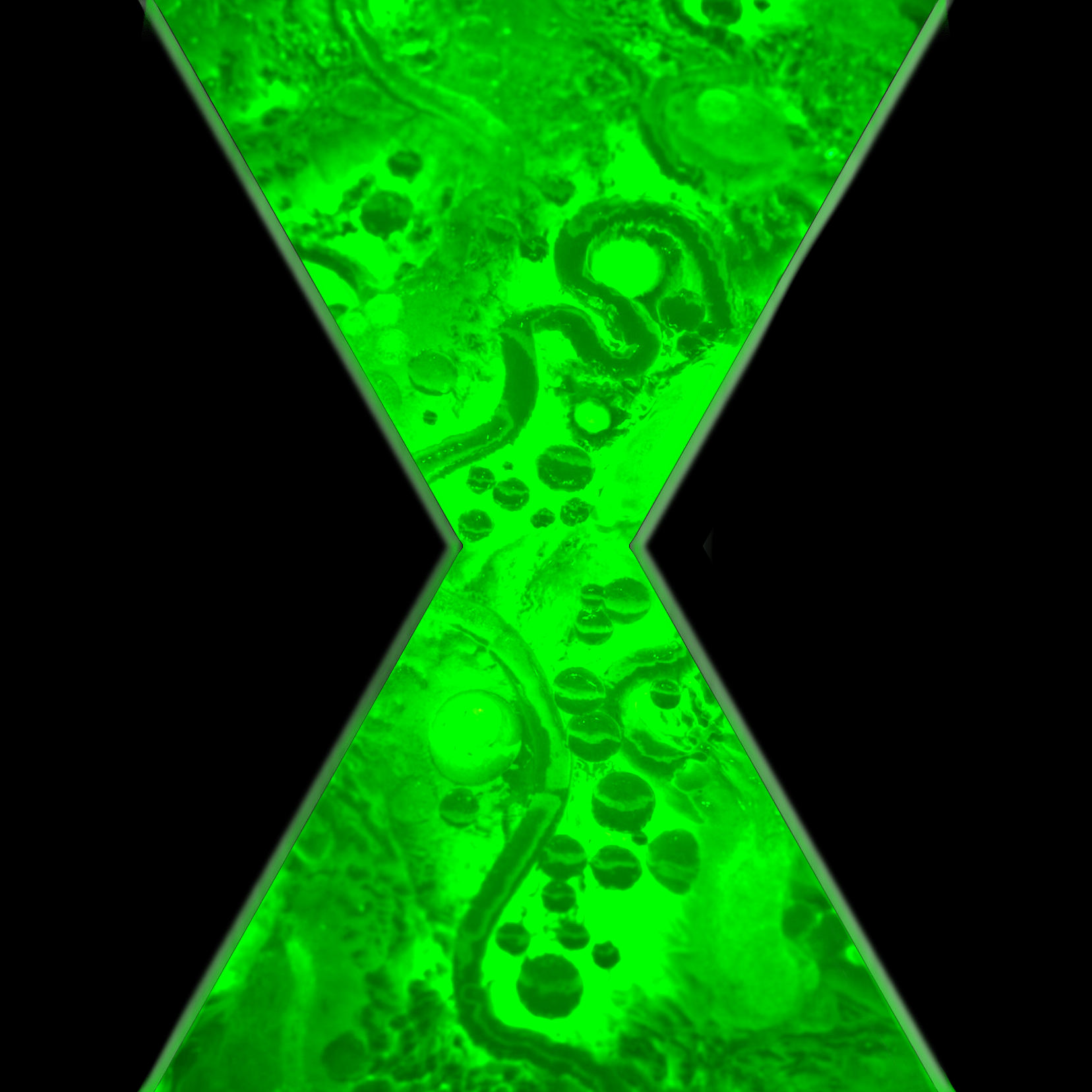 1656x1656 Square Ben Ten Watch I Made This Wallpaper With The Omnitrix Logo For Square