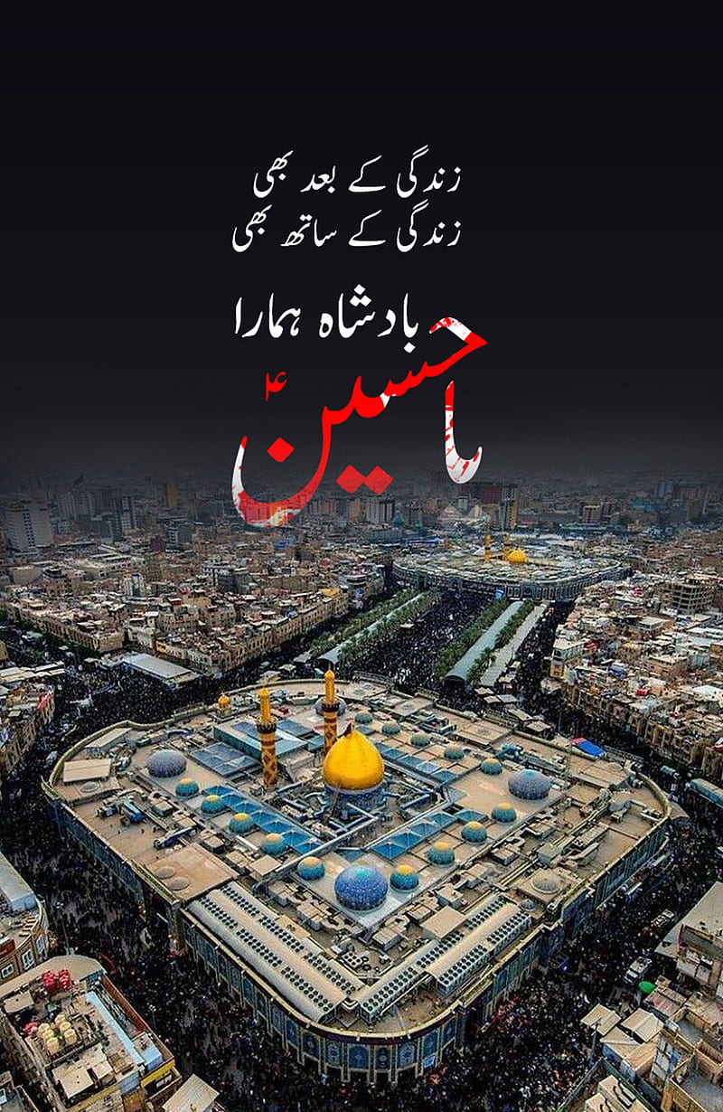 800x1230 Bain ul Haramain, arial view, ashura, full screen, holly shrine, imam hussain, HD phone wallpaper