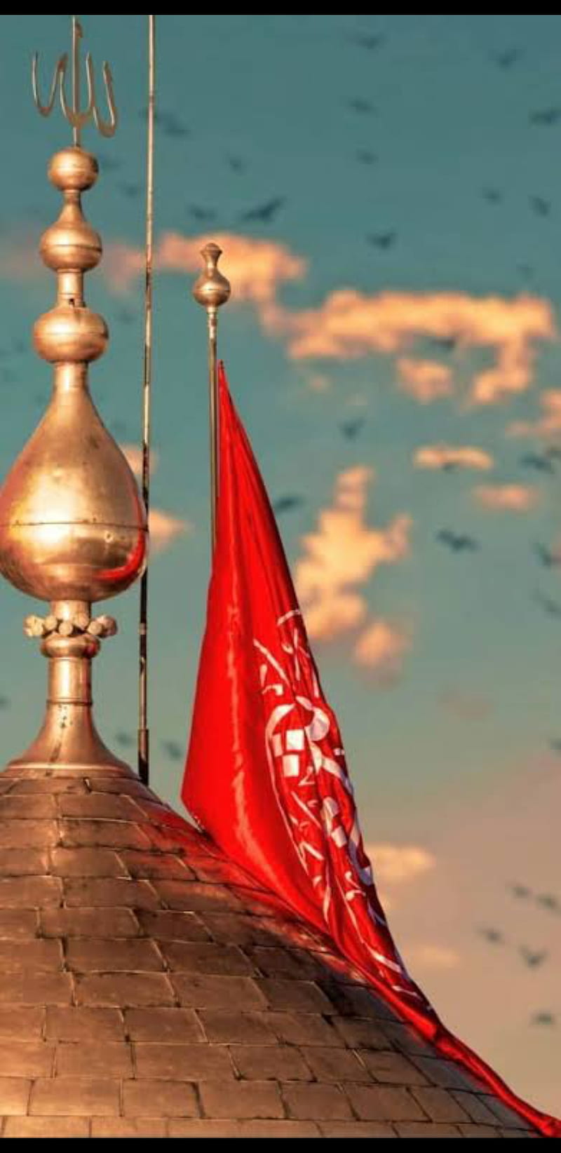 800x1644 Ya_hussain, imam, roza, flag, muharrum, karbala, Hussain, noha, alam, hazrat, HD phone wallpaper