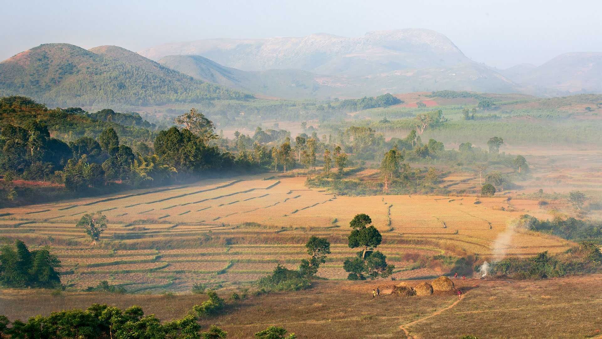 1920x1080 The song of Odisha