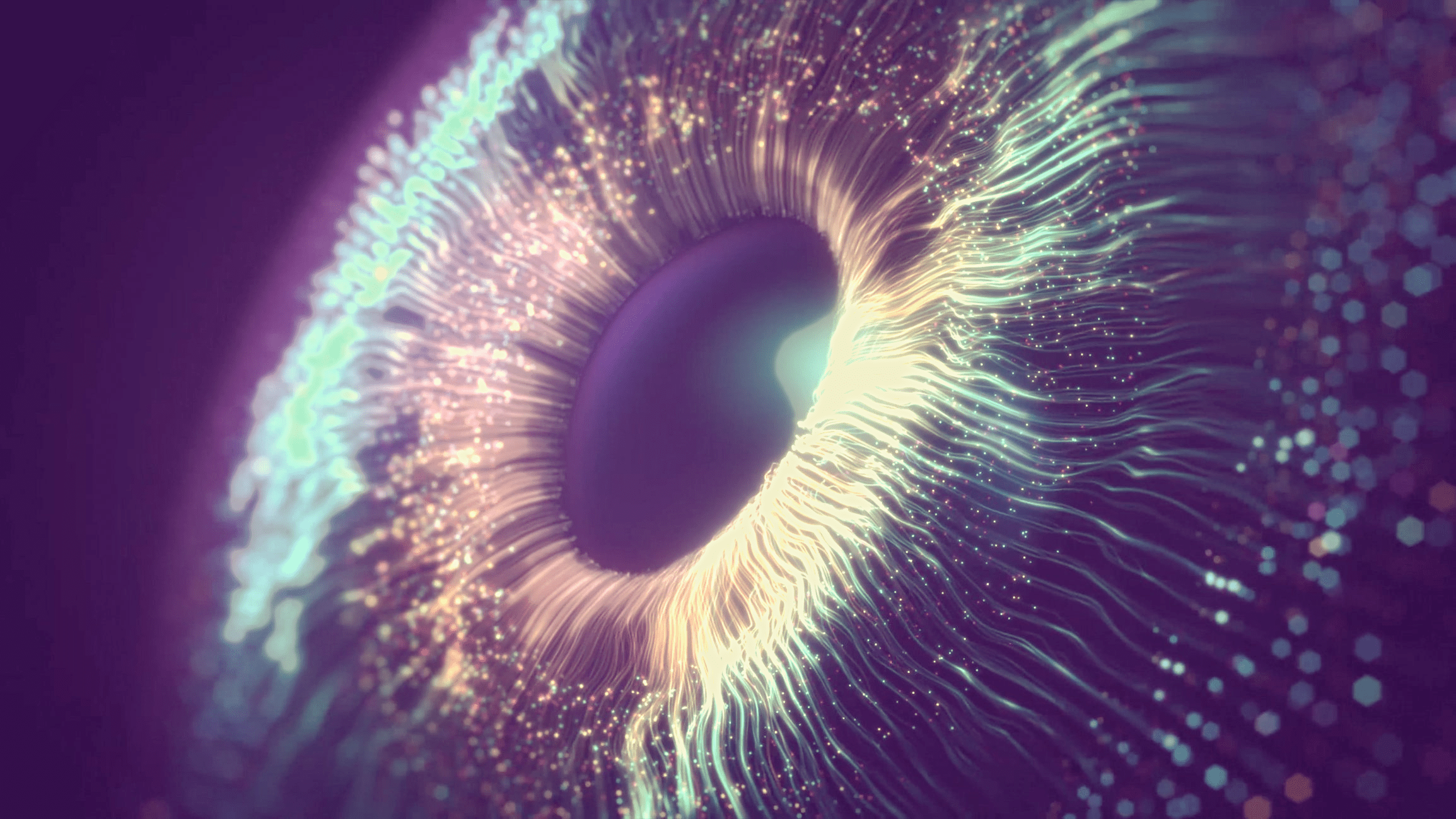 2309x1299 Setup Virtual Development Environment