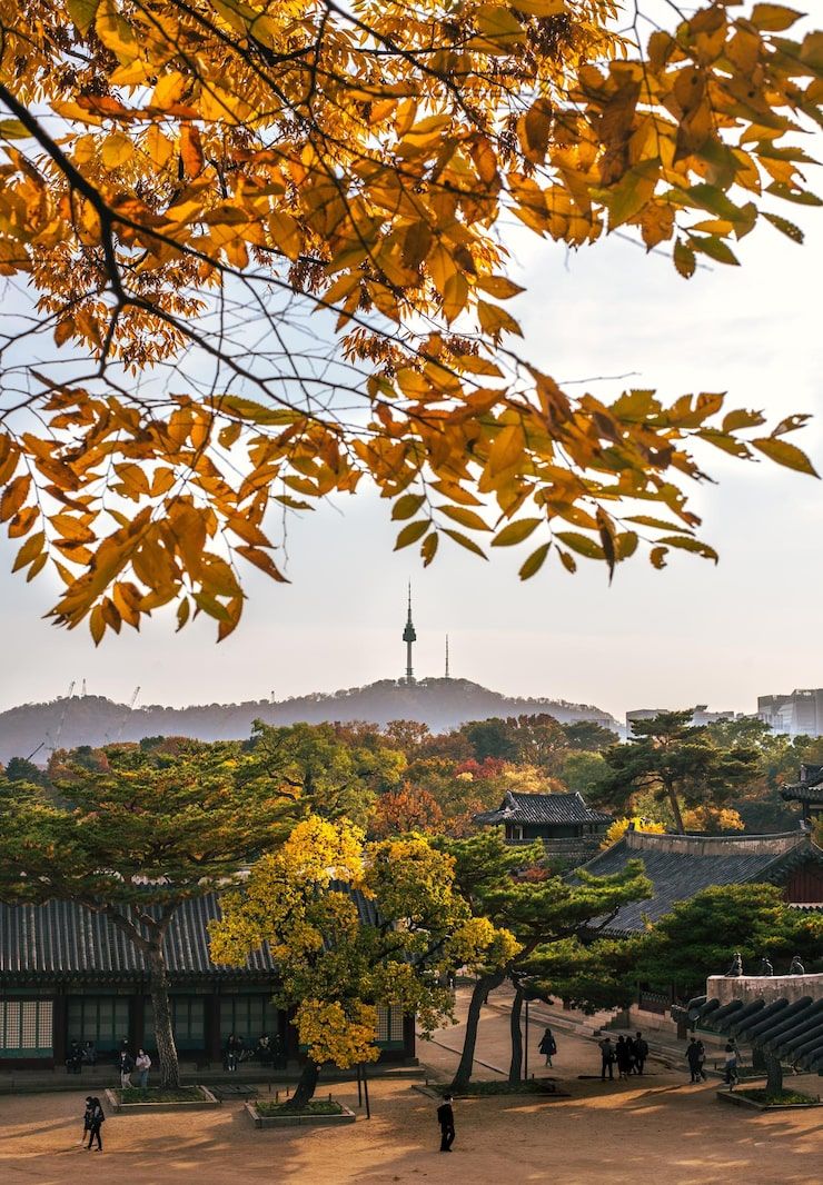 740x1066 Korea autumn Image