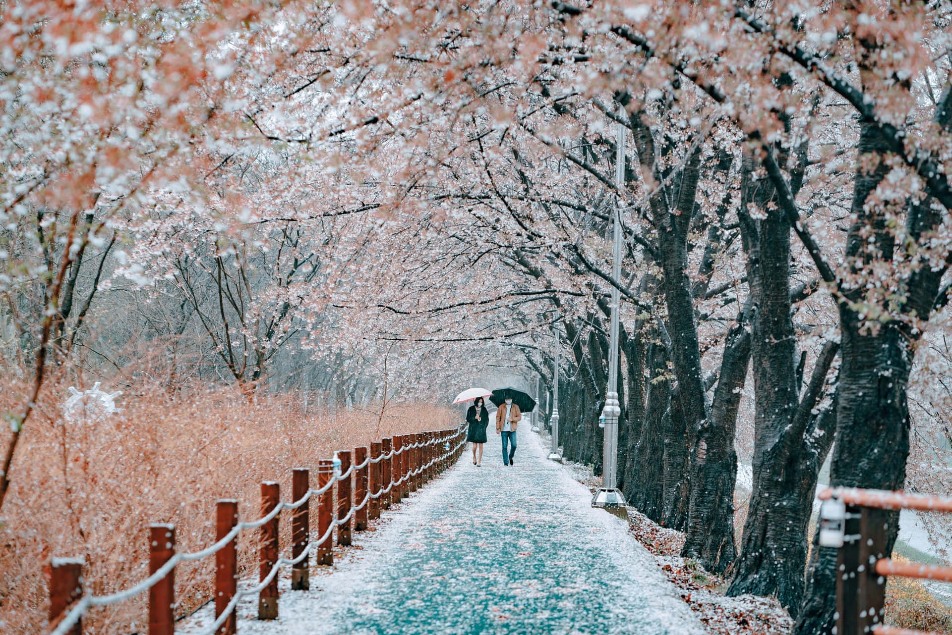 1920x1282 Korea Background