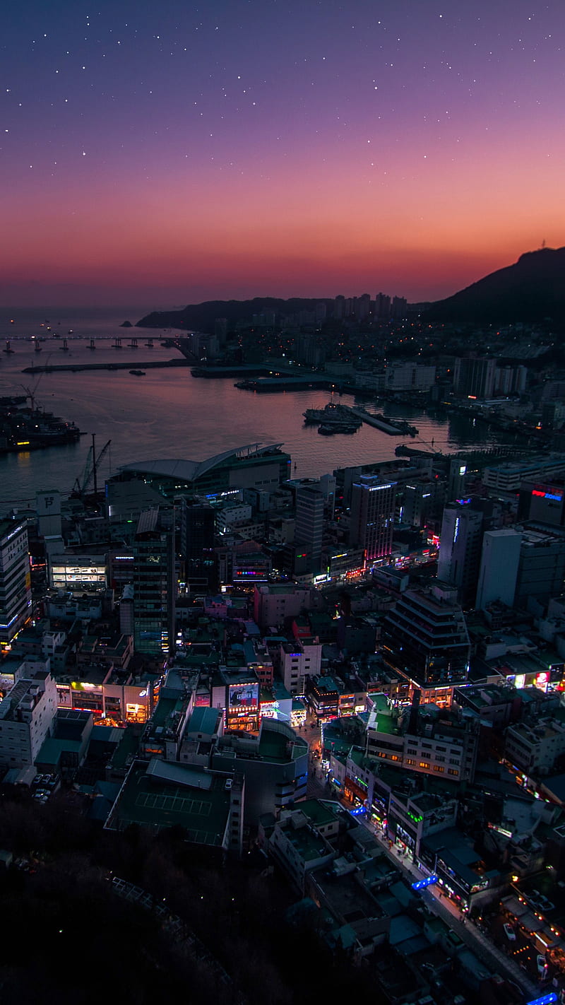 800x1422 City Areal View, south korea, city lights, aerial view, night city, HD phone wallpaper