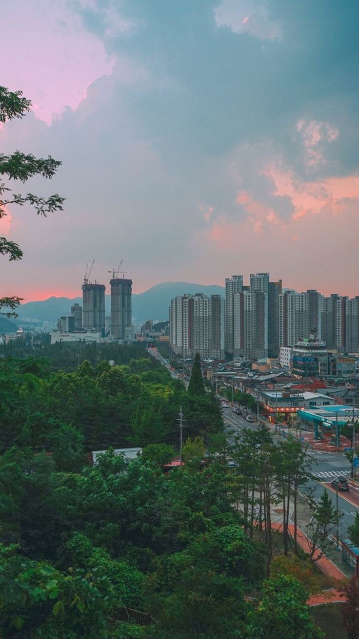 736x1308 South Korea Phone Wallpaper