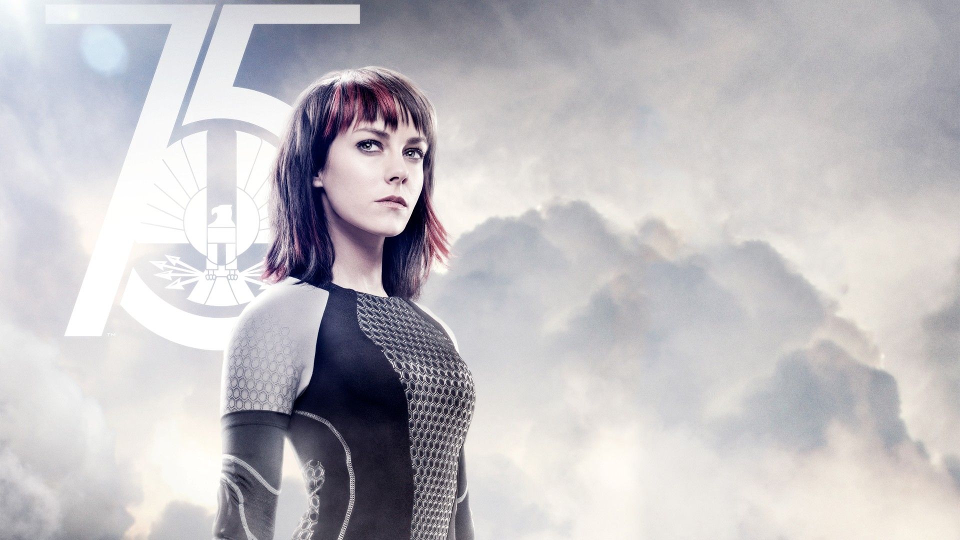 1920x1080 The Hunger Games Catching Fire 1920x1080, High Definition, High Quality, Widescreen