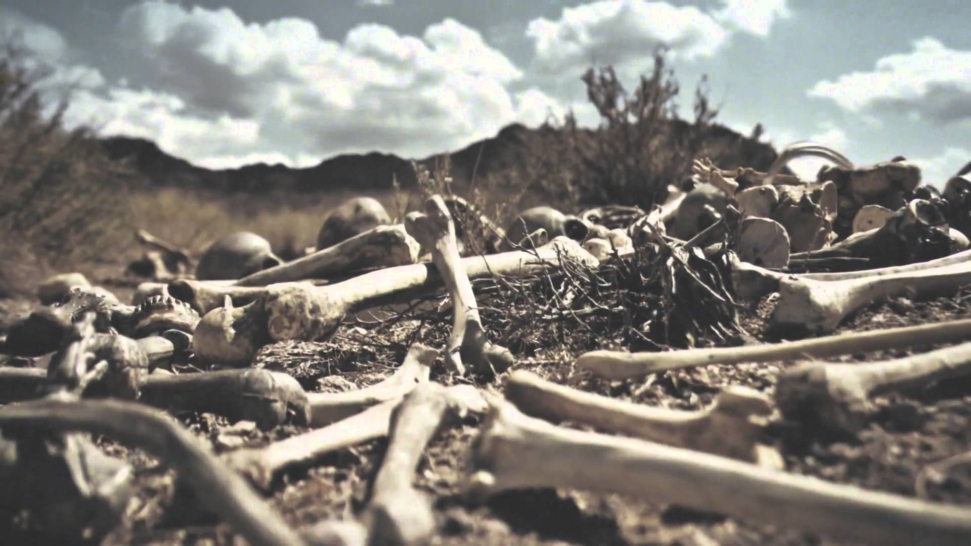 1920x1080 Dry Bones