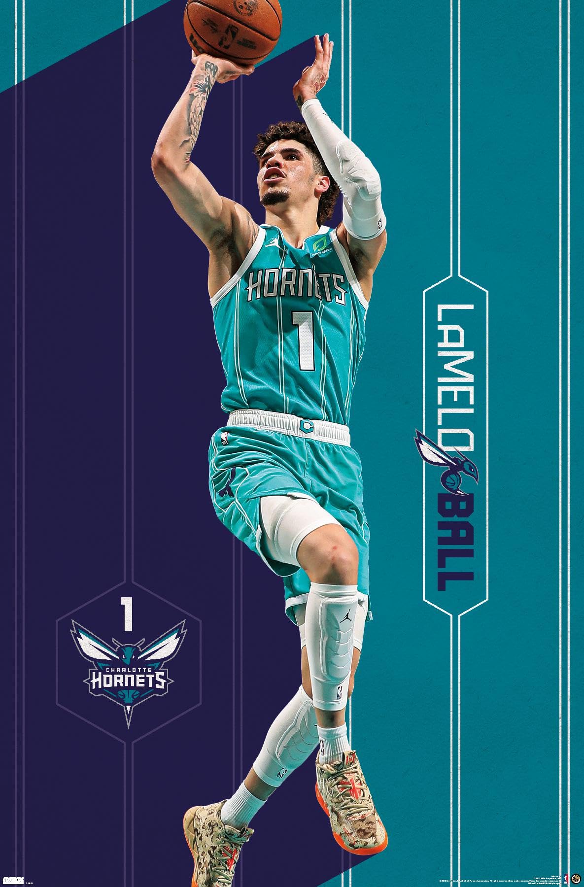 1185x1800 Trends International NBA Charlotte Hornets Ball 23 Wall Poster, 22.4L x 14.7W, Premium Unframed Version: Posters & Prints