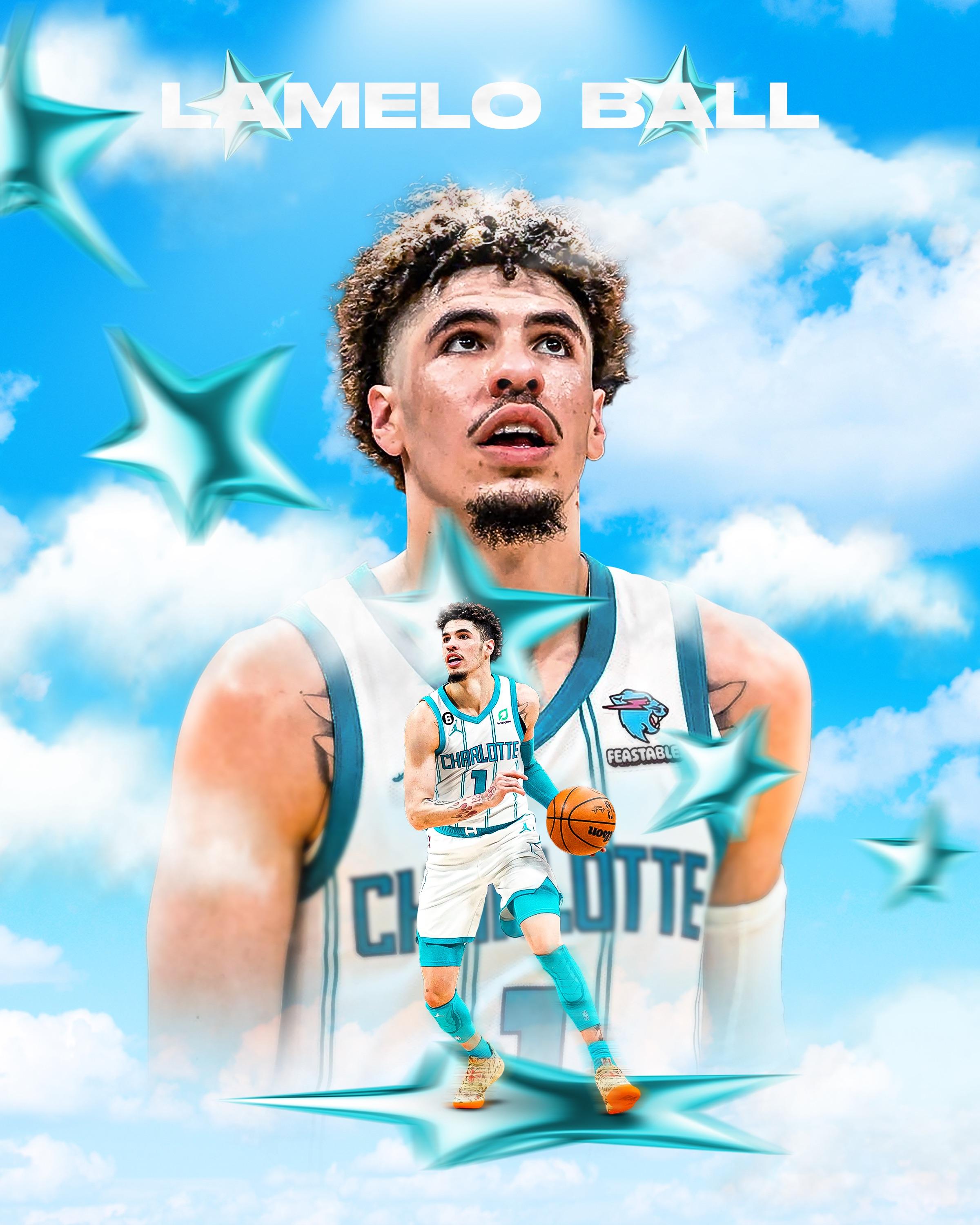 2400x3000 30 in my NBA Design Series Ball (Charlotte Hornets)