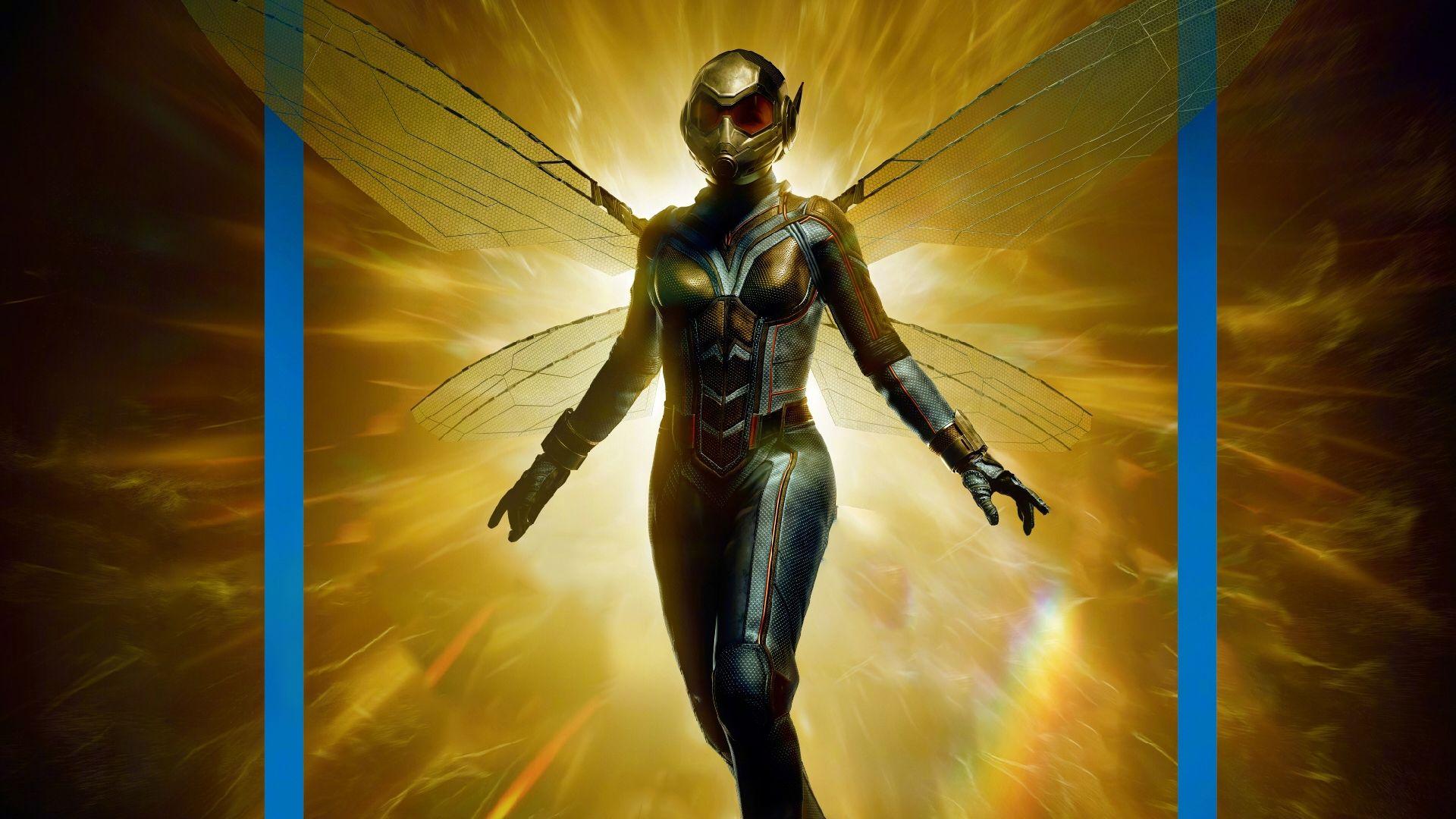 1920x1080 Wasp Wallpaper