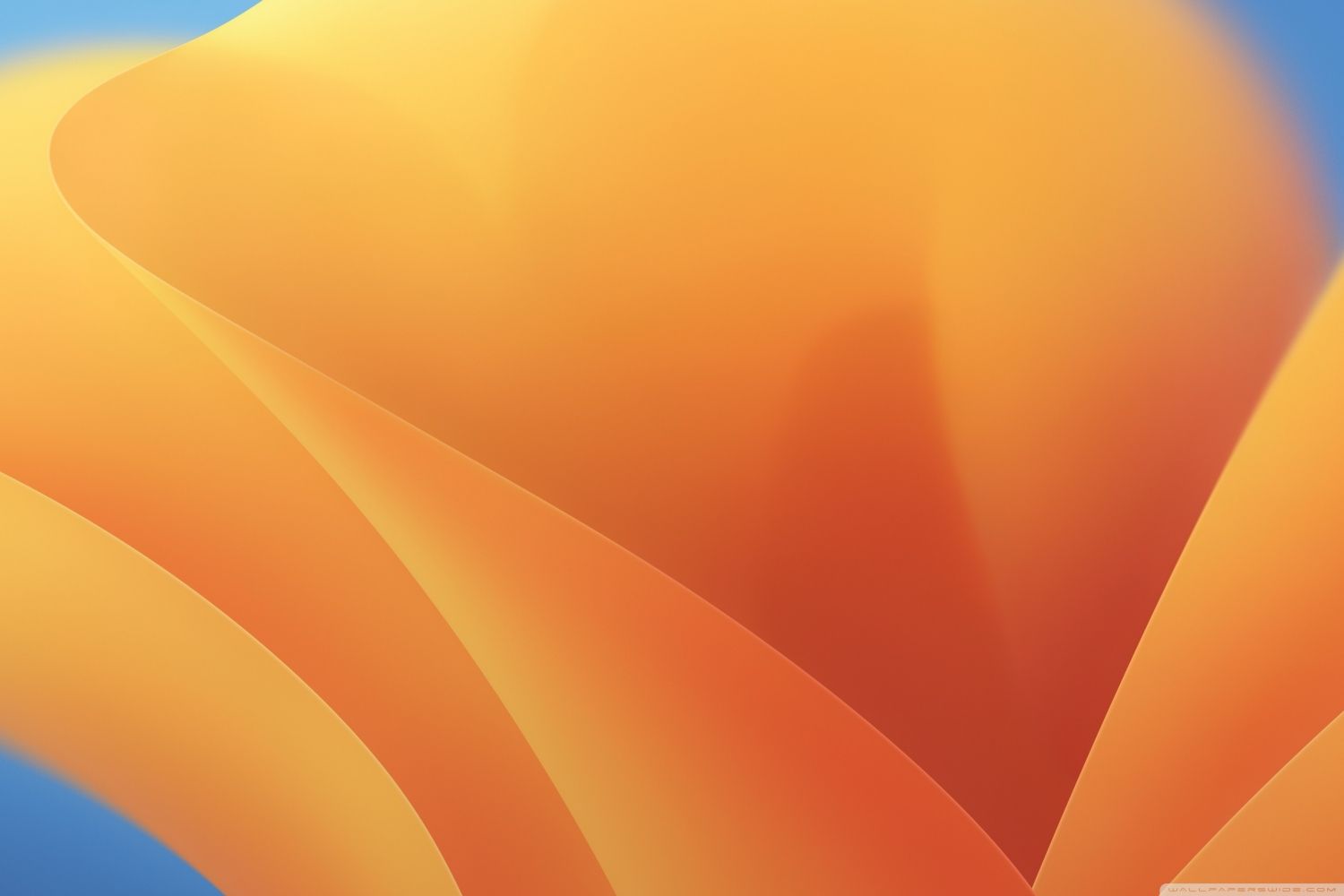 1500x1000 MacOS Ventura Yellow Stock