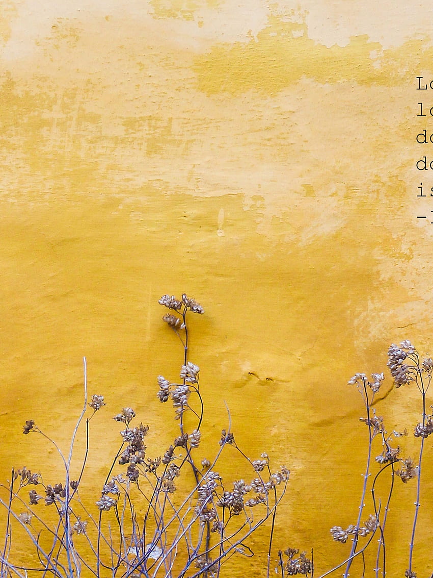 850x1133 Yellow Aesthetic Mac Top Yellow Aesthetic Mac [5120x2880] for your, Mobile & Tablet HD phone wallpaper