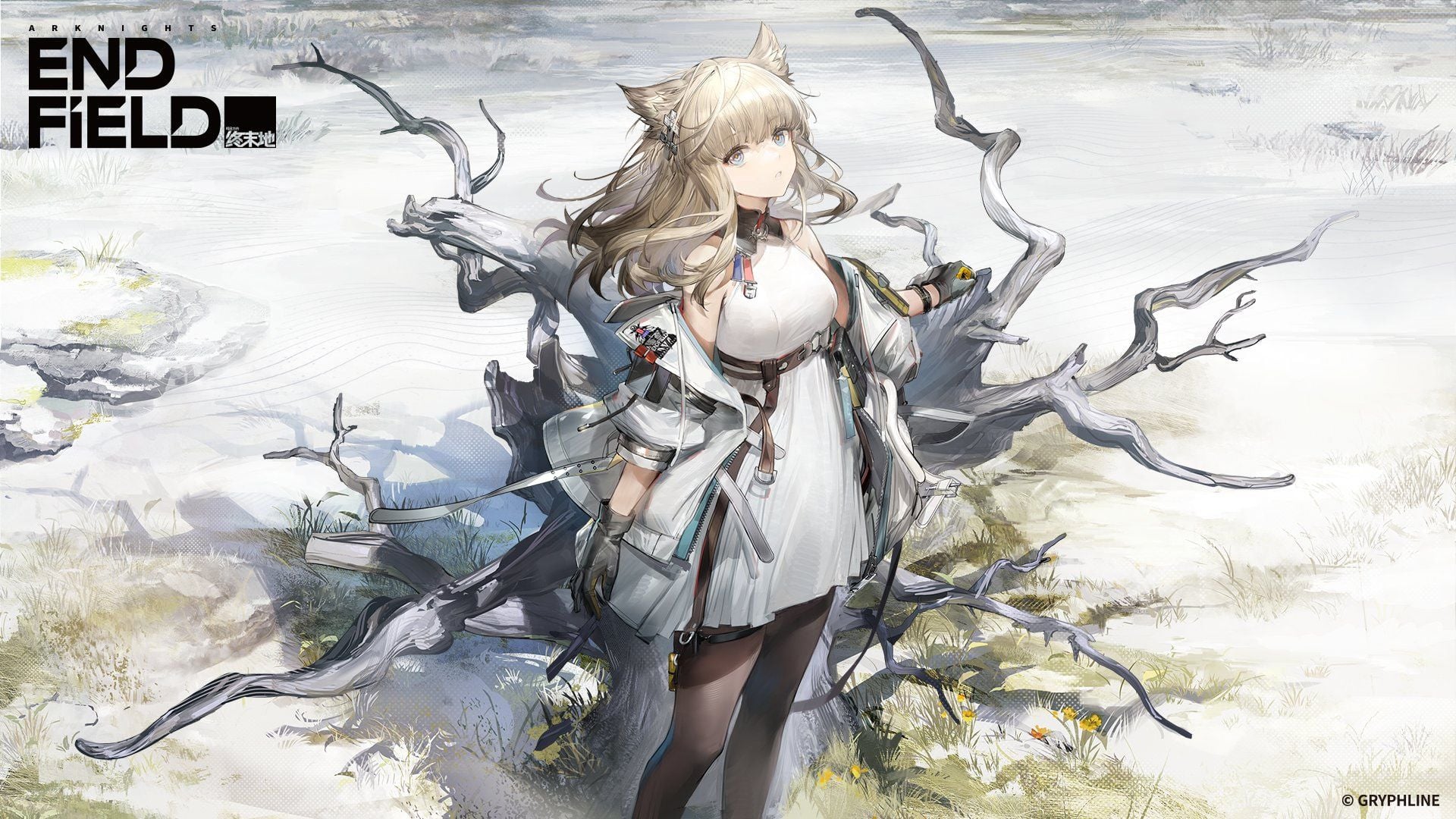 1920x1080 Arknights: Endfield Artwork
