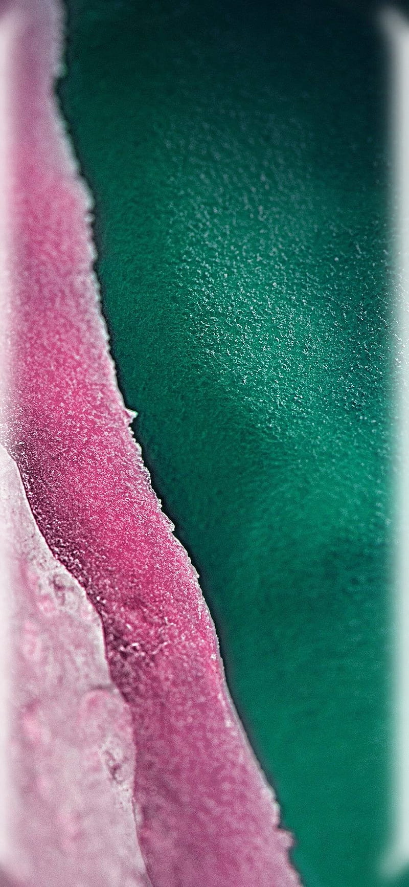 800x1734 Samsung galaxy s plus, note, s10e, edge, curved, hole, HD phone wallpaper