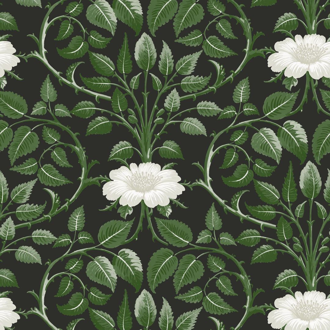 1080x1080 Garden Vine Leaf Botanical Wallpaper