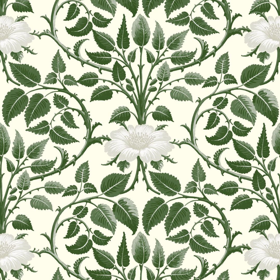 1080x1080 Garden Vine Green Botanical Wallpaper