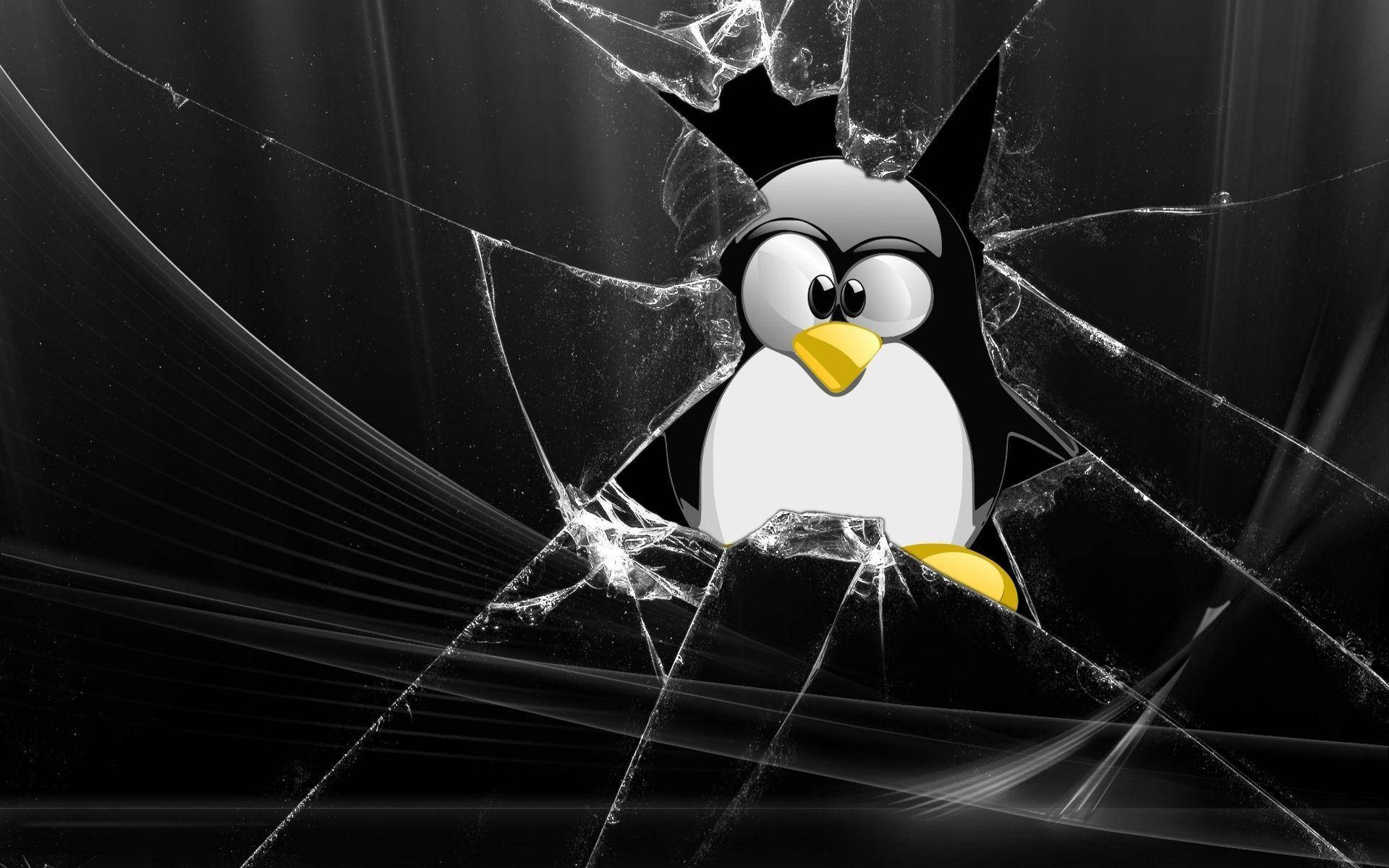 1920x1200 Linux Wallpaper