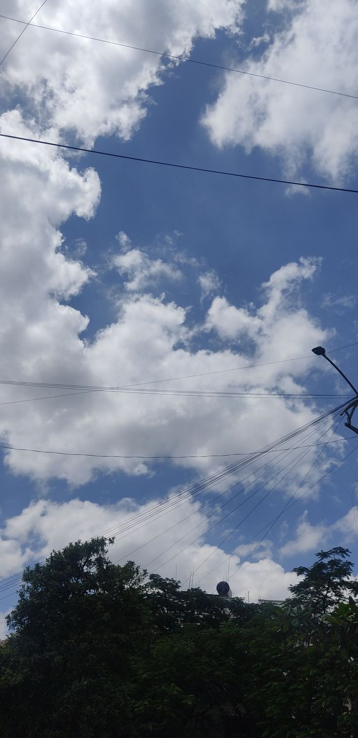 736x1515 Clouds, cloudy day, weather, climate, clear sky