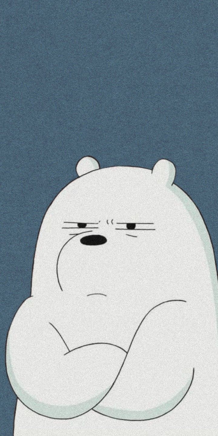 720x1440 Aesthetic Ice Bear Wallpaper