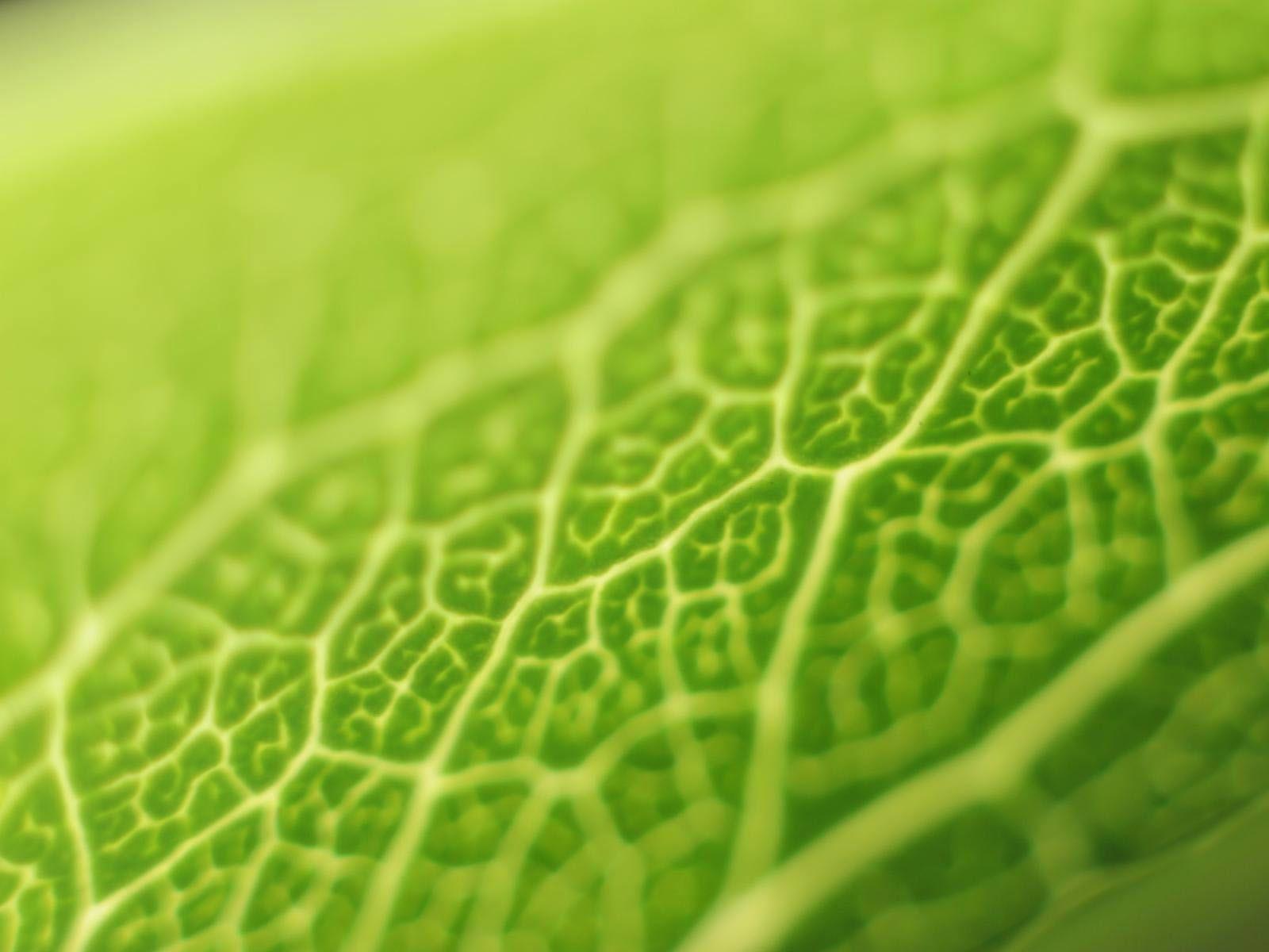 Hi Res Vista Wallpapers Top Free Hi Res Vista Backgrounds Wallpaperaccess