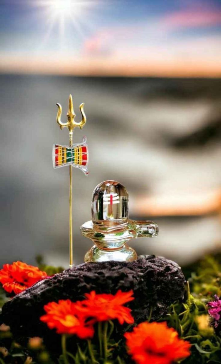 736x1209 Lord Shiva