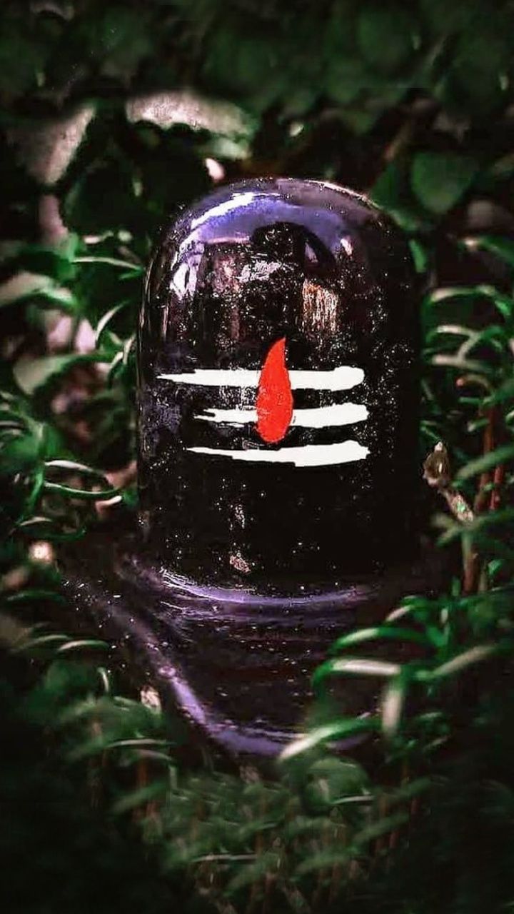 720x1280 shivling Mobile Walls