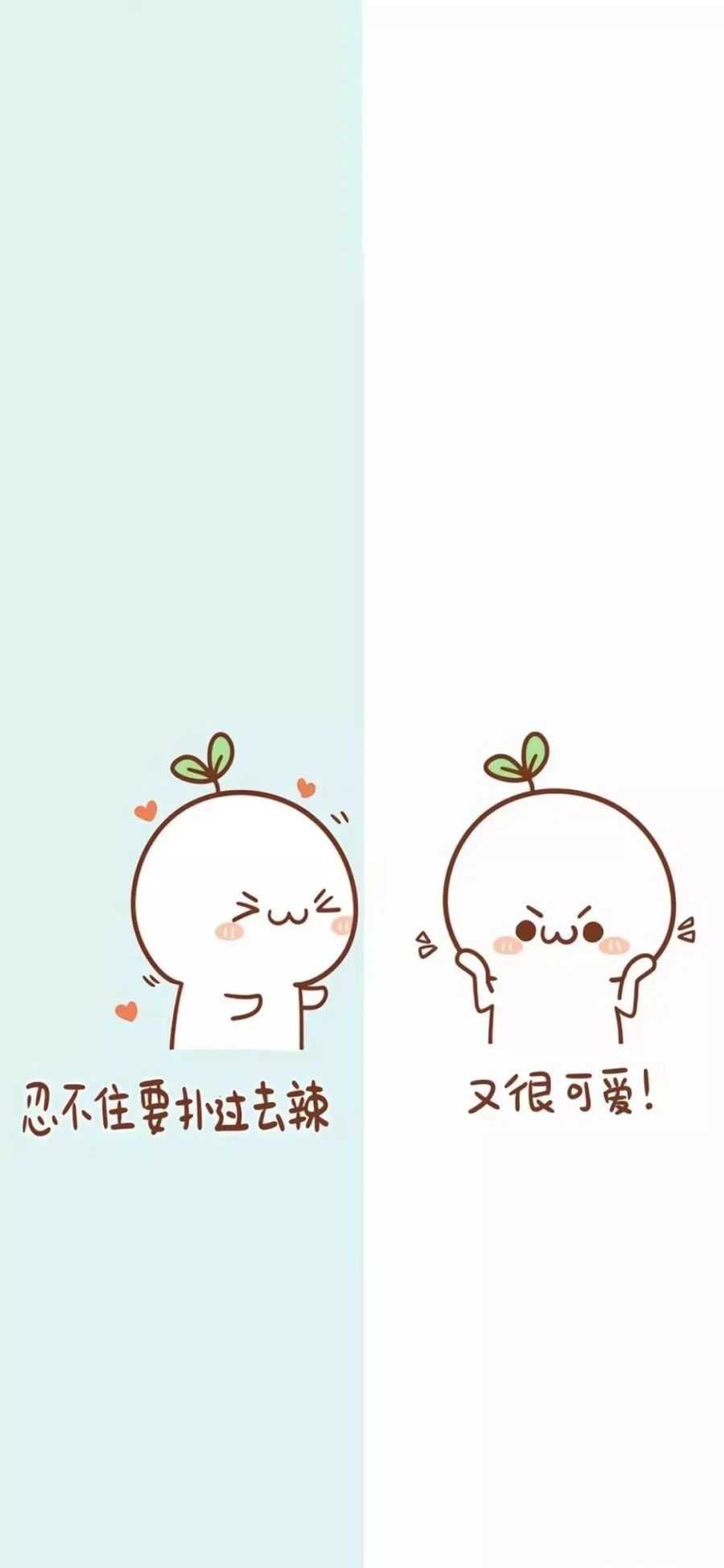 900x1948 WeChat Wallpaper