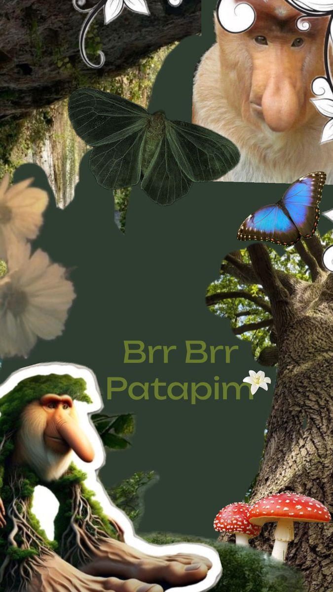 675x1200 Brr Brr Patapim Wallpaper