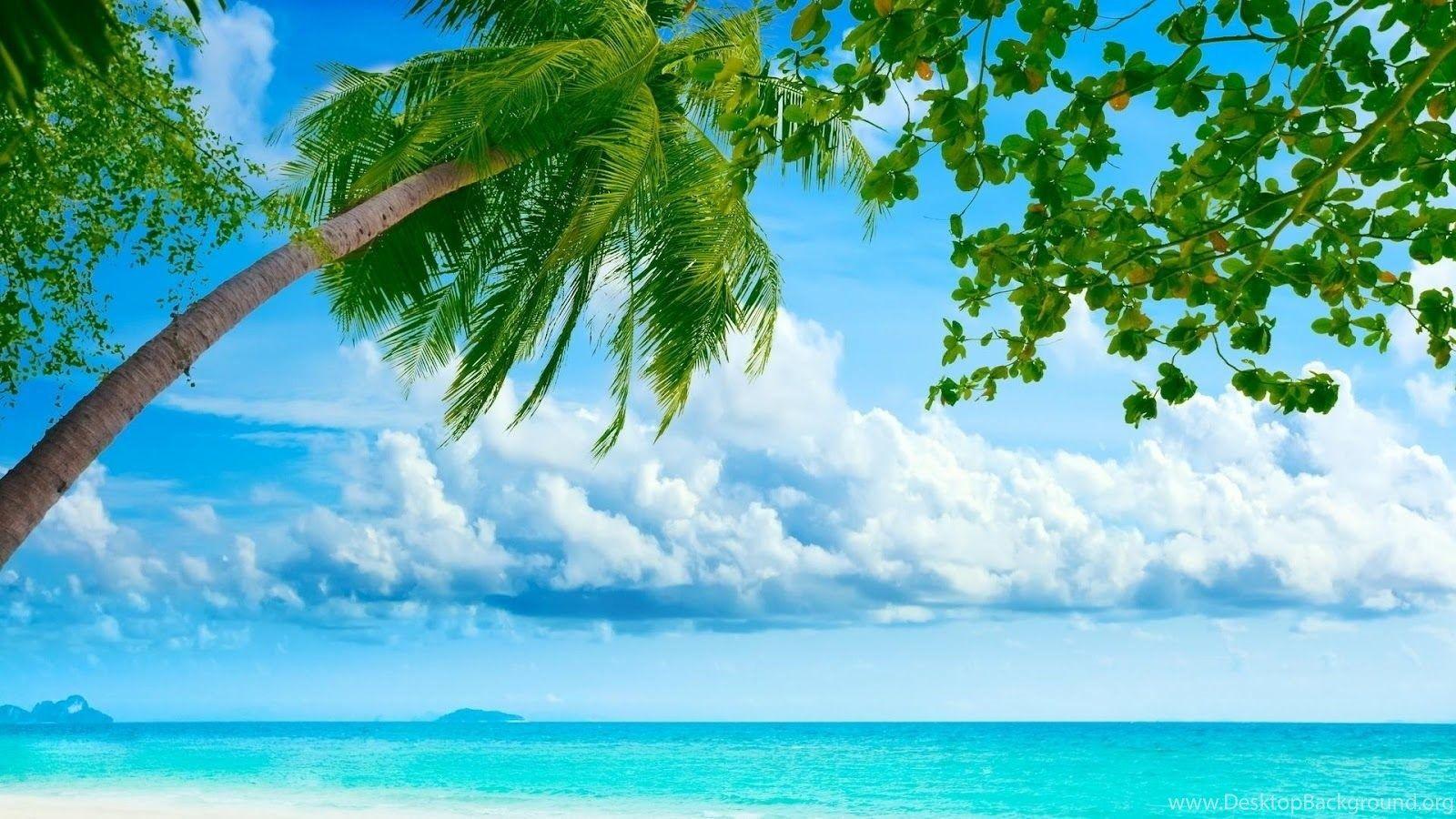 1600x900 HD Nature PC Wallpaper Desktop Background