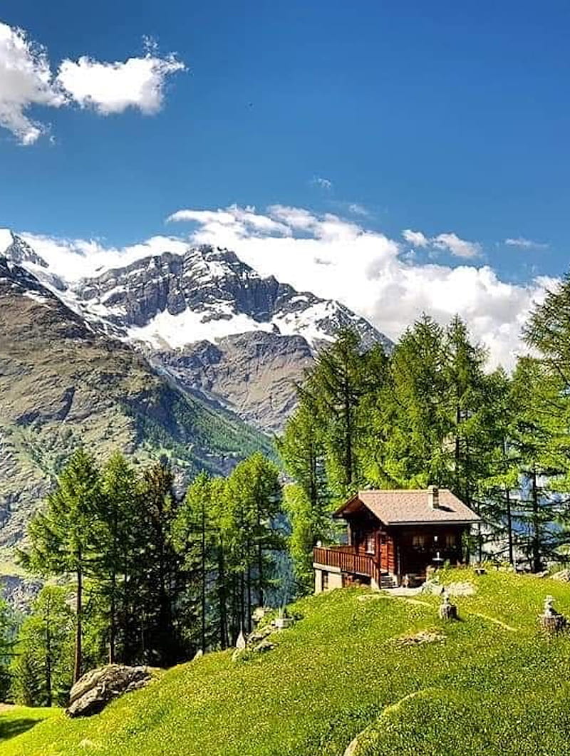 800x1061 High Up, Wanderlust, alm, alps, austria, blue, cloud, forest, green, hiking, HD phone wallpaper