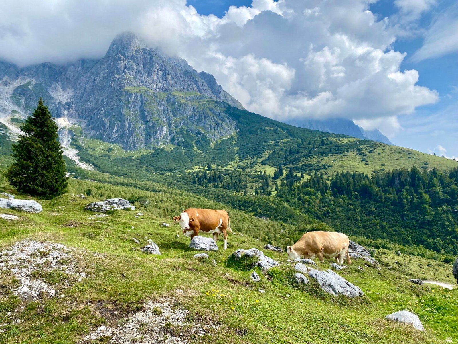 1600x1200 Summer coolness in Austria part II around the world