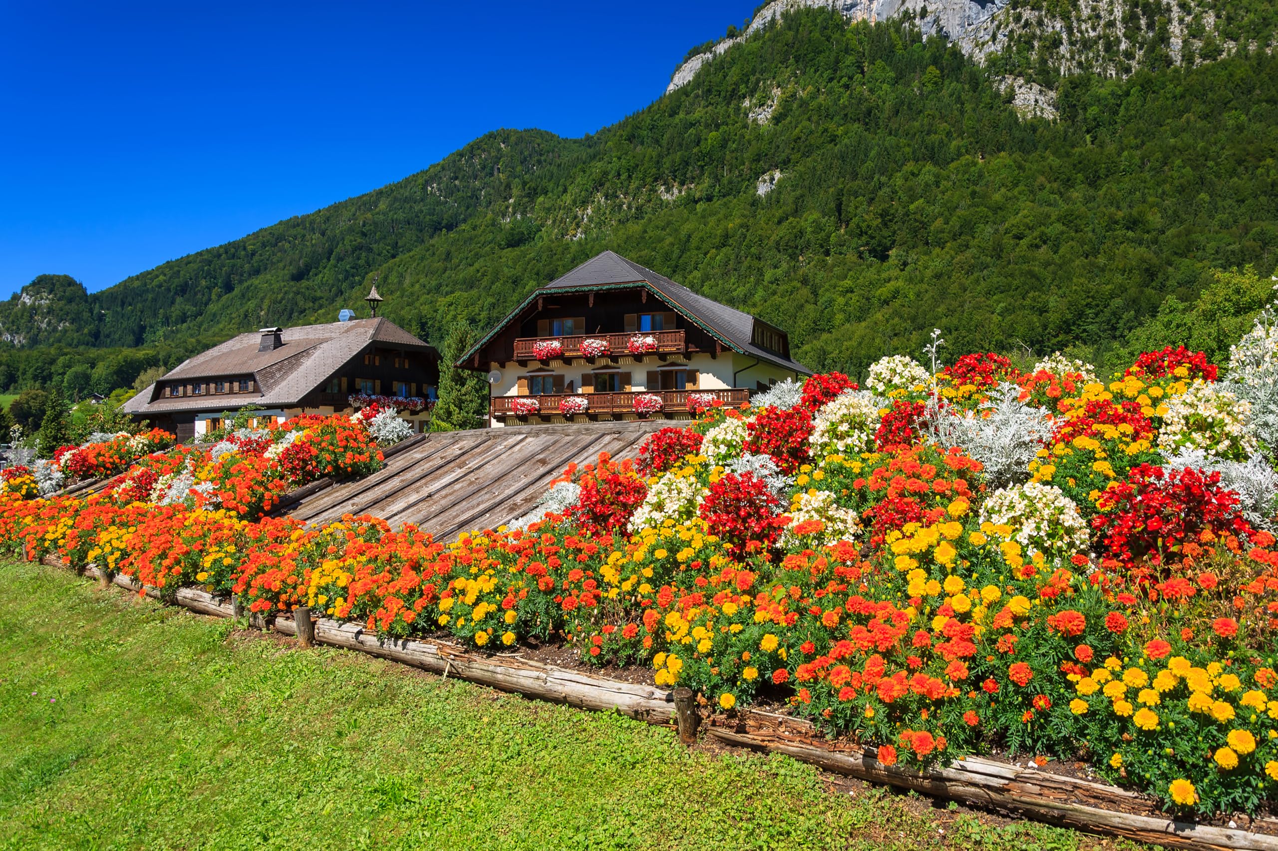 2560x1704 Amazon.com : CHNYWORK 12ftx10ft Europe Village Backdrop Summer Austria Town Flowers Forest Green Mountains Blue Sky Background European Travel Hiking Camp Party Decor Photo Booth Studio Prop Wallpaper