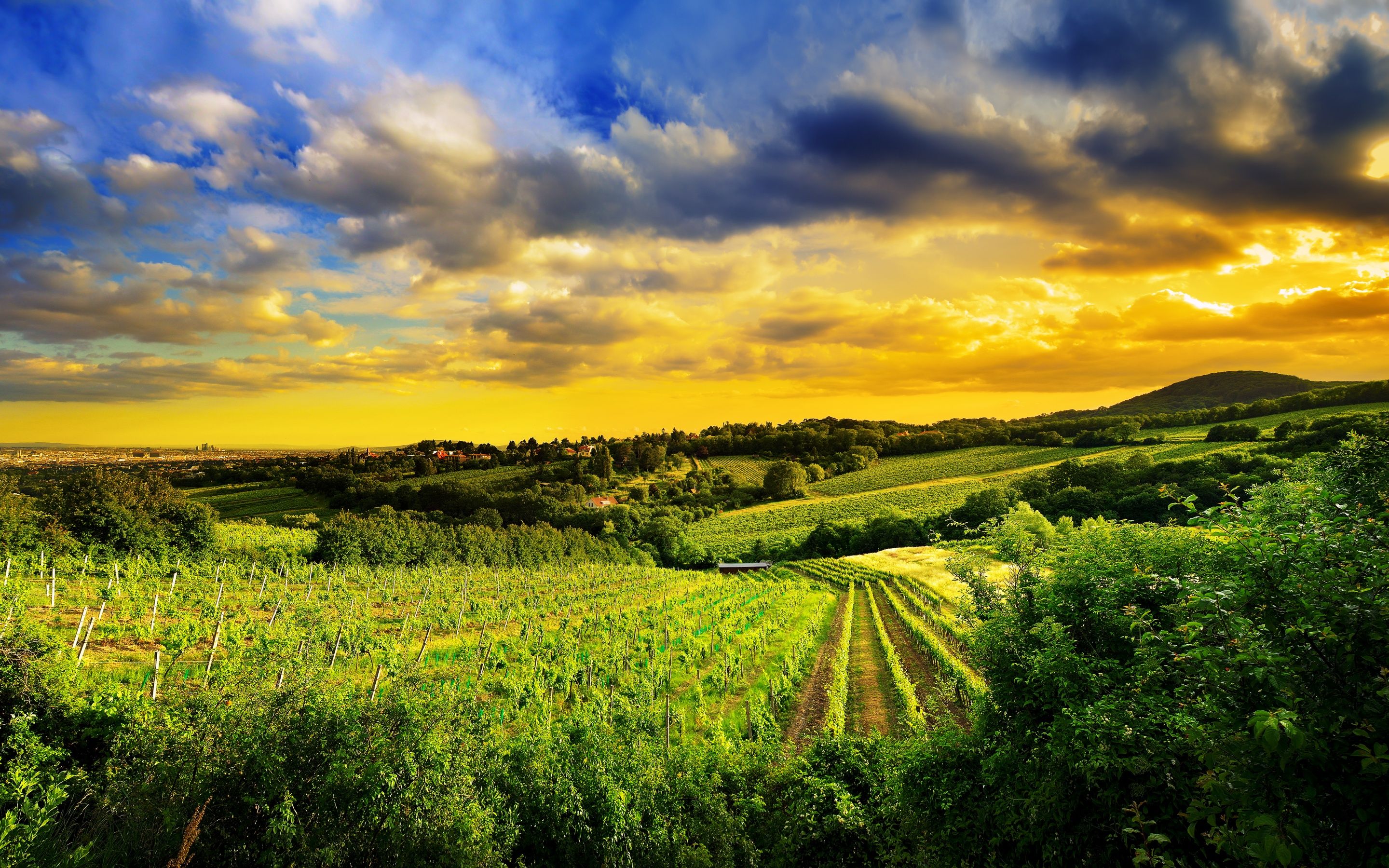 2880x1800 Kahlenberg hills Wallpaper 4K, Vienna, Austria, Landscape