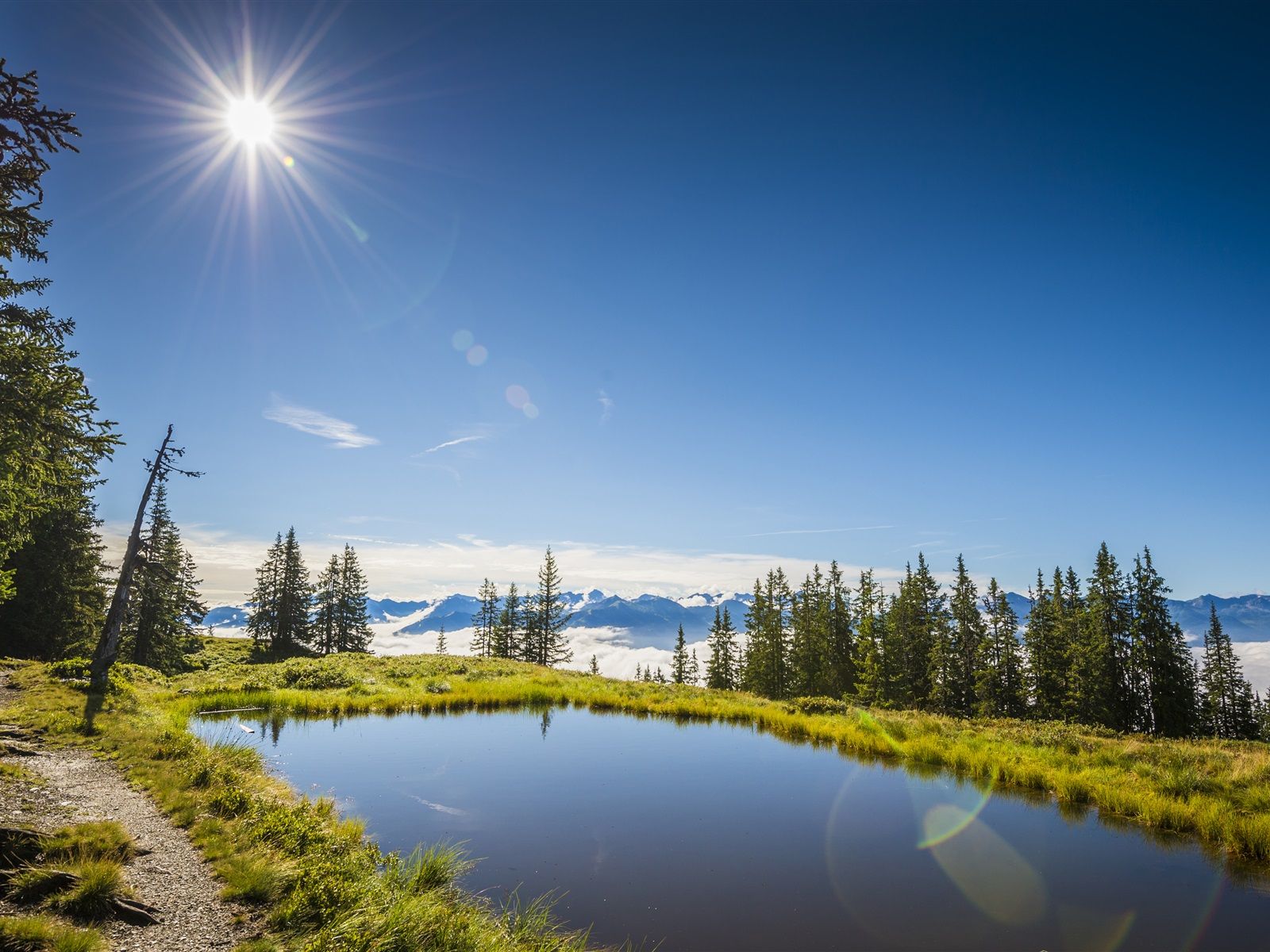 1600x1200 Wallpaper Summer, Austria, lake, grass, trees, sun, blue sky 3840x2160 UHD 4K Picture, Image