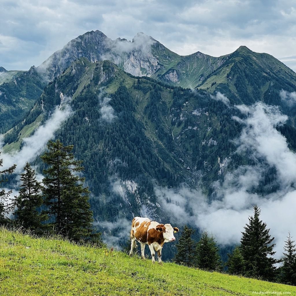 1024x1024 Night Summer Itinerary in St JOhann Salzburg Austria