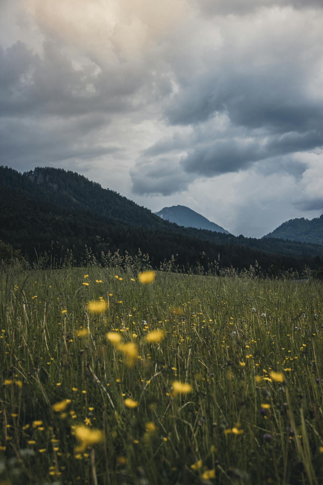 1280x1920 Austria in Summer Vacation Spots: Lakes, Cities & Alpine Getaways