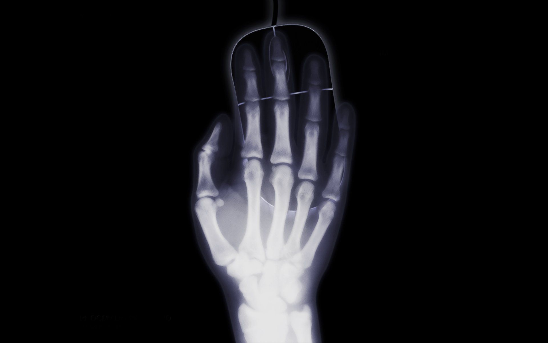 1920x1200 X Ray Vision: A Humorous Look At The Hand And Mouse Ultra HD Wallpaper By Jonny Lindner