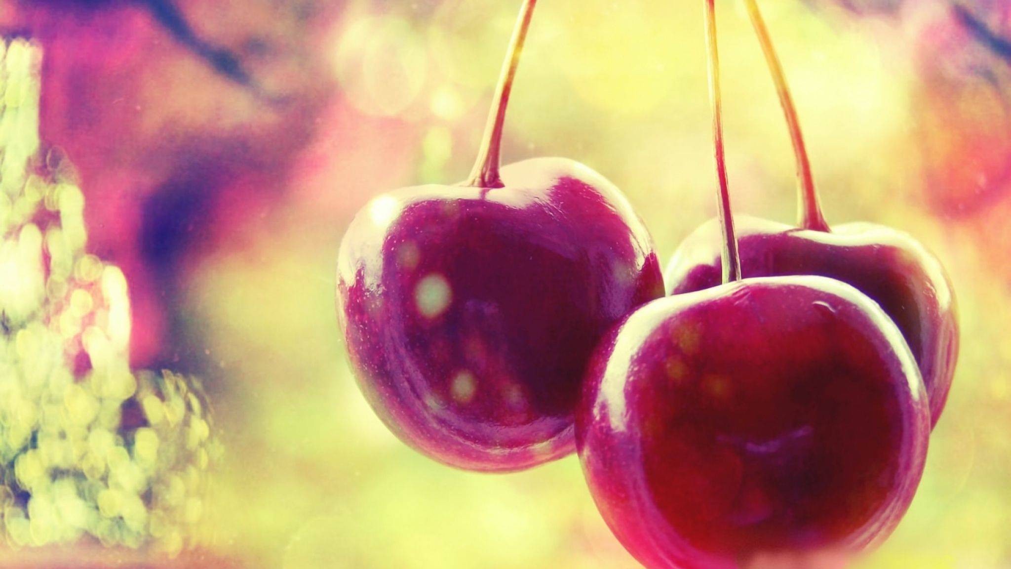 Berry Color Computer Background Cherry Berry Wallpapers - Top Free Cherry Berry Backgrounds ...