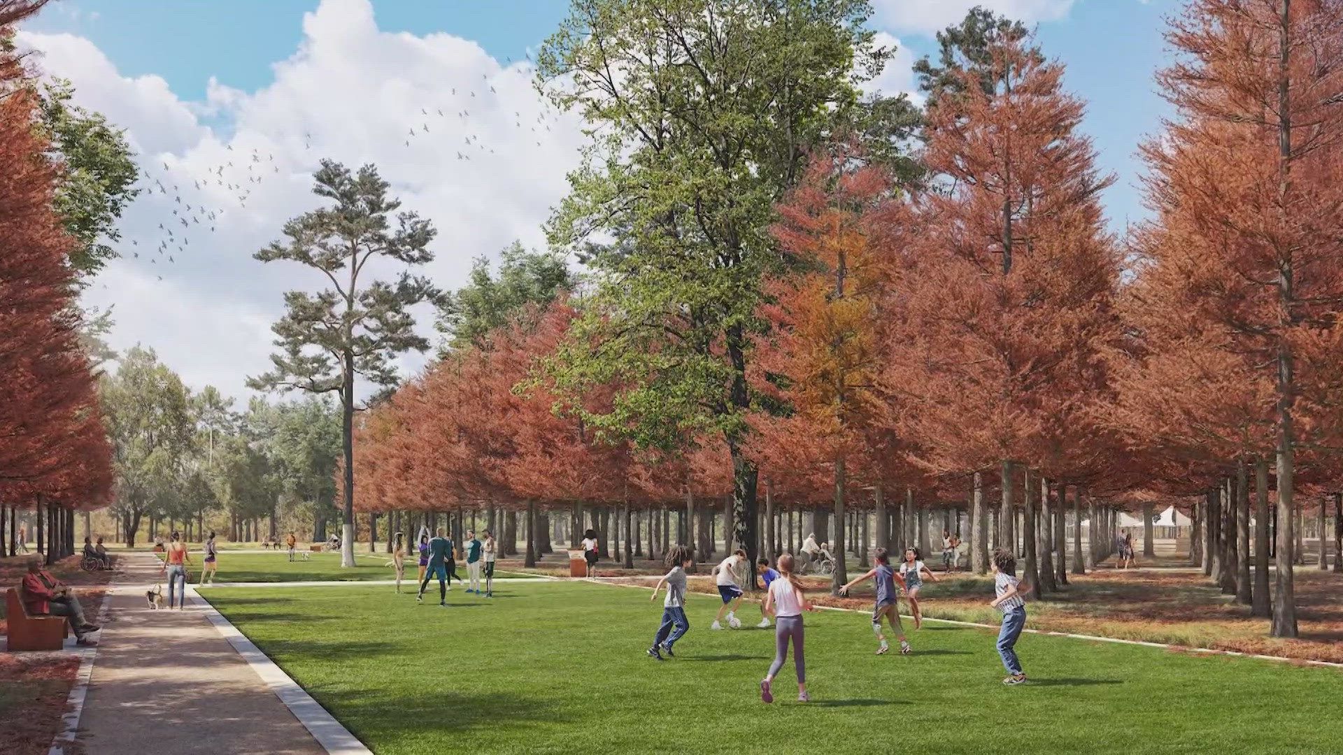 1920x1080 Memorial Groves project honors WWI history