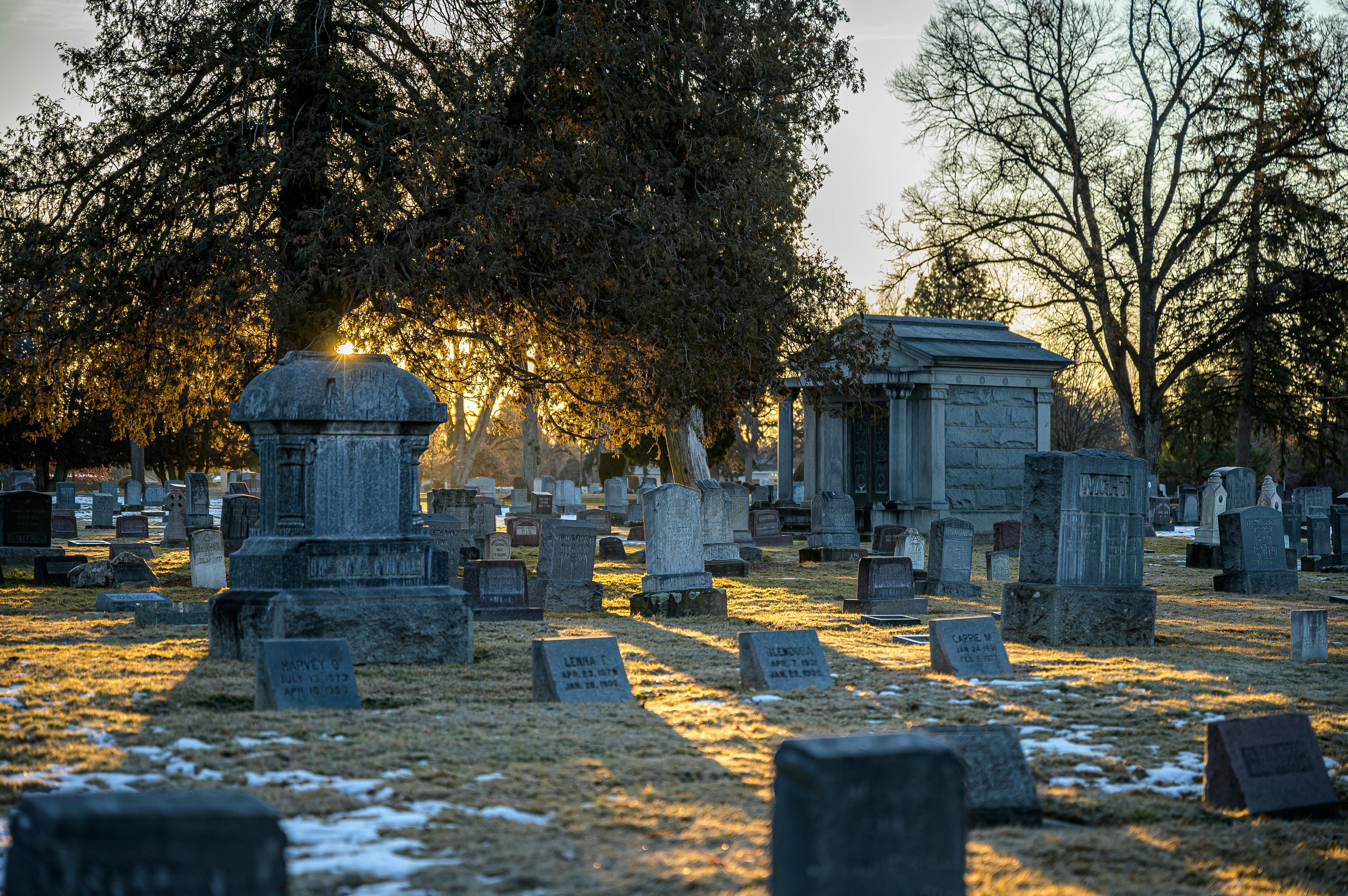 6048x4024 Photo of Cemetery · Free