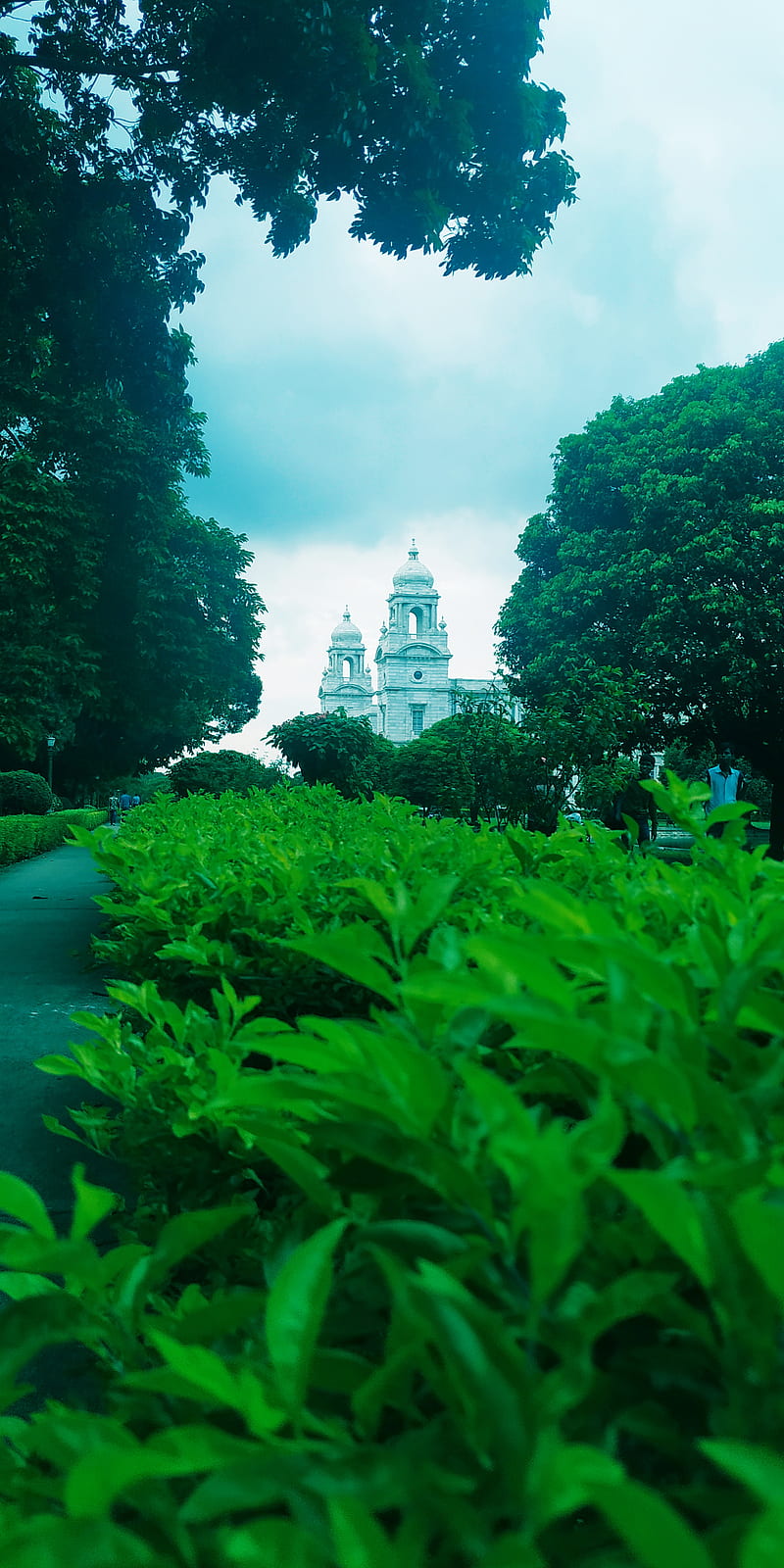 800x1600 Victoria Park, castle, graveyard, green, hashencoder, kolkata, memorial, nature, HD phone wallpaper