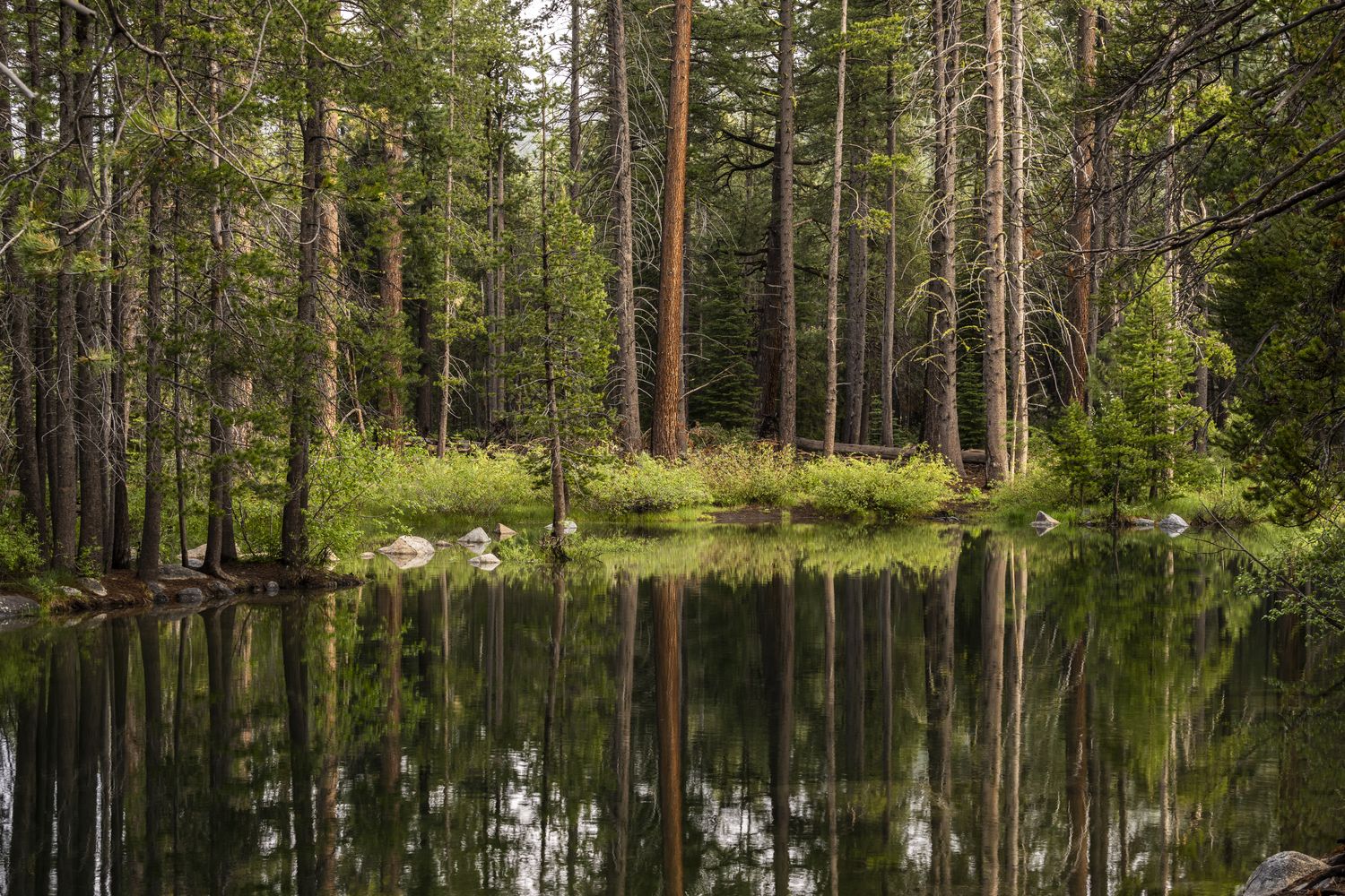 1500x1000 Donner Memorial State Park Image Gallery
