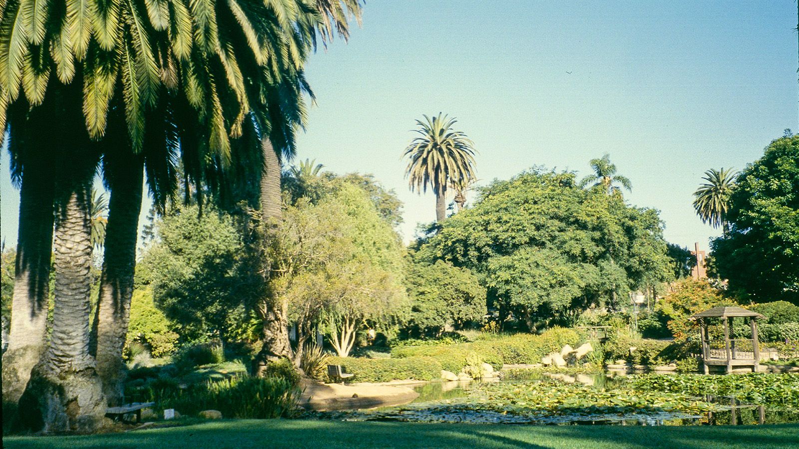 1600x900 Alice Keck Park Memorial Gardens