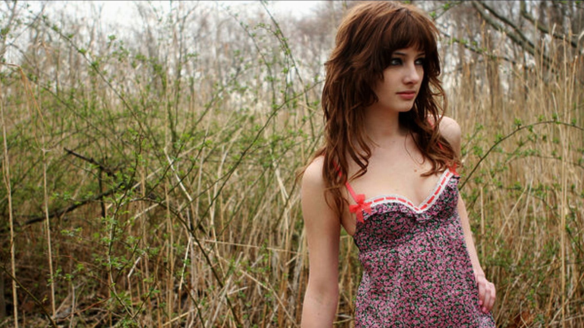 1920x1080 Susan Coffey: Stunning HD Wallpaper Experience