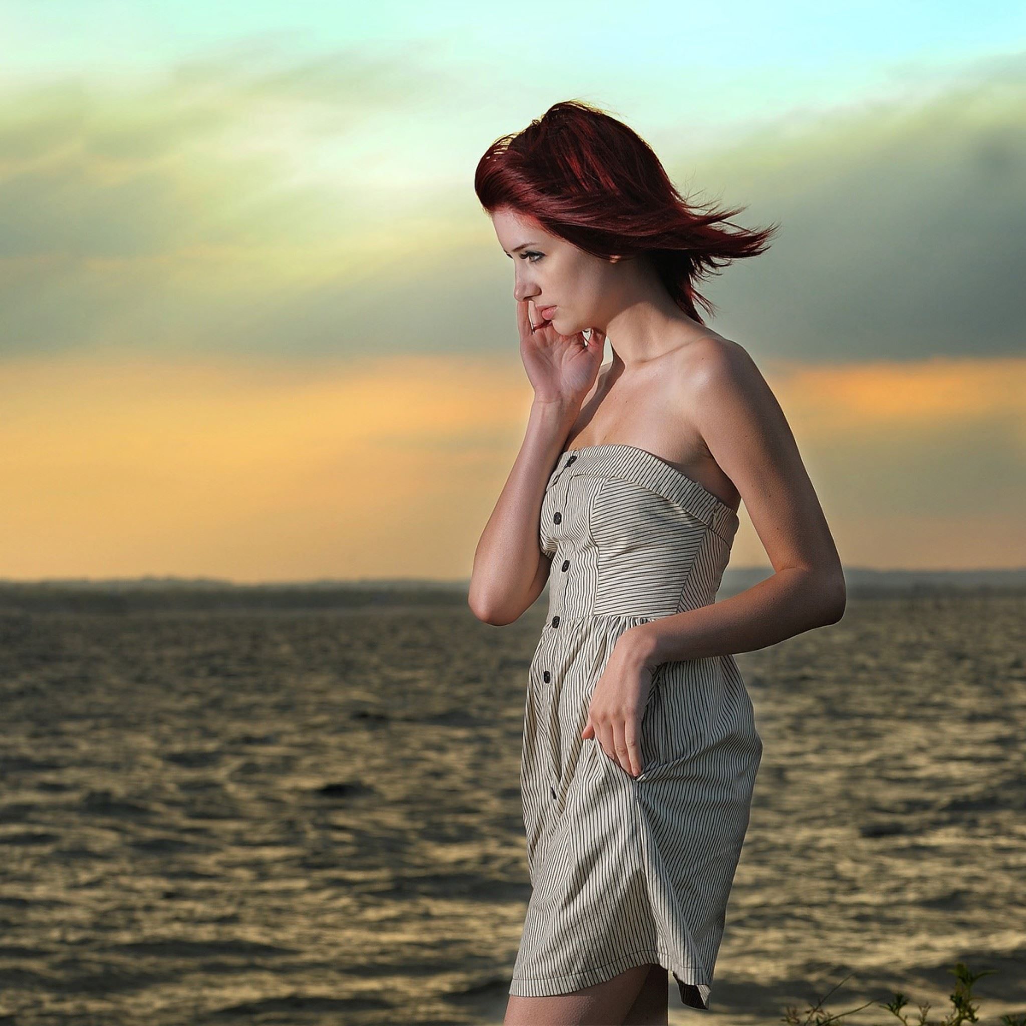 2048x2048 Susan Coffey Side Locks iPad Air Wallpaper Free Download