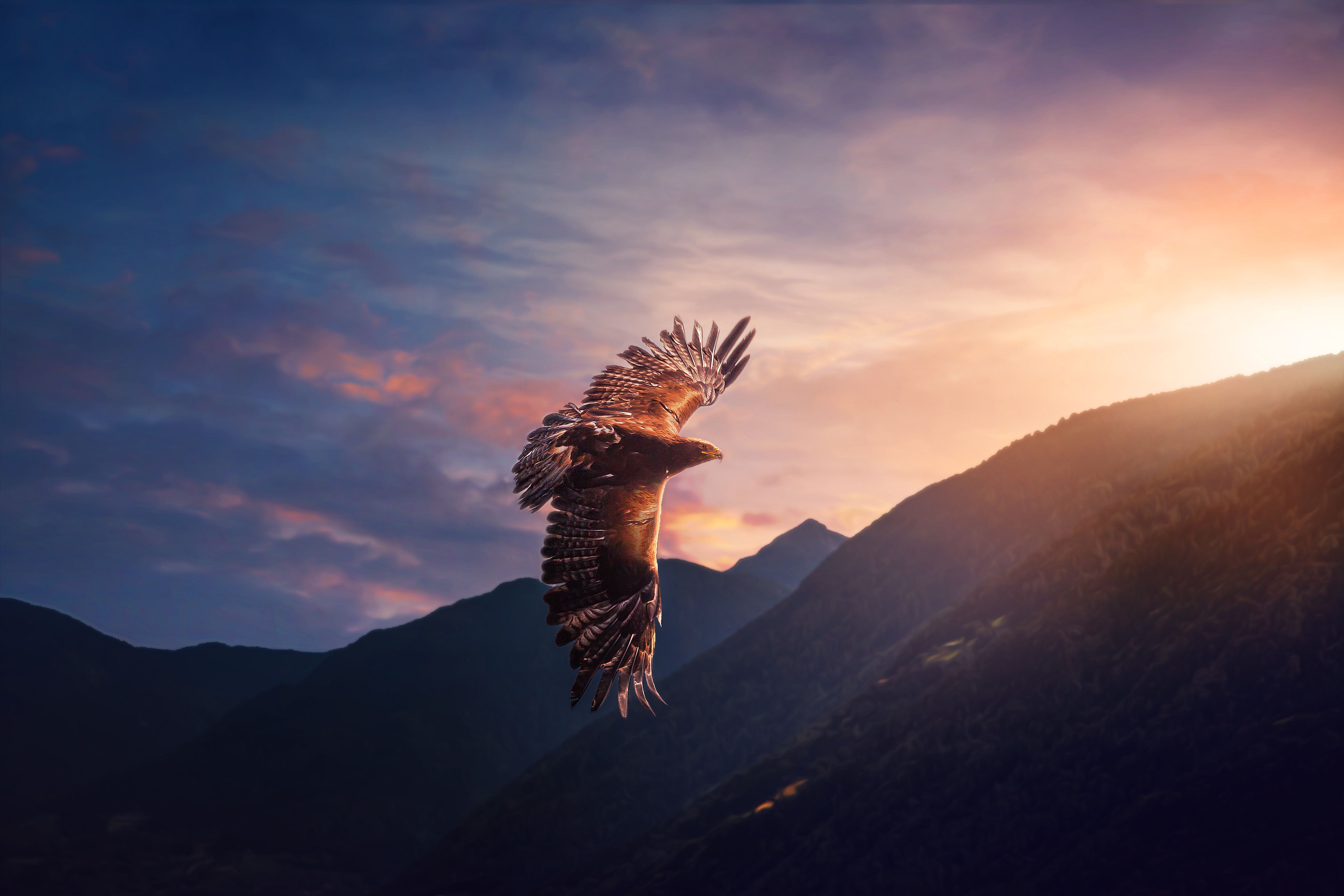 5120x3413 Eagle Wallpaper 4K, Sunset, Mountains, Evening sky
