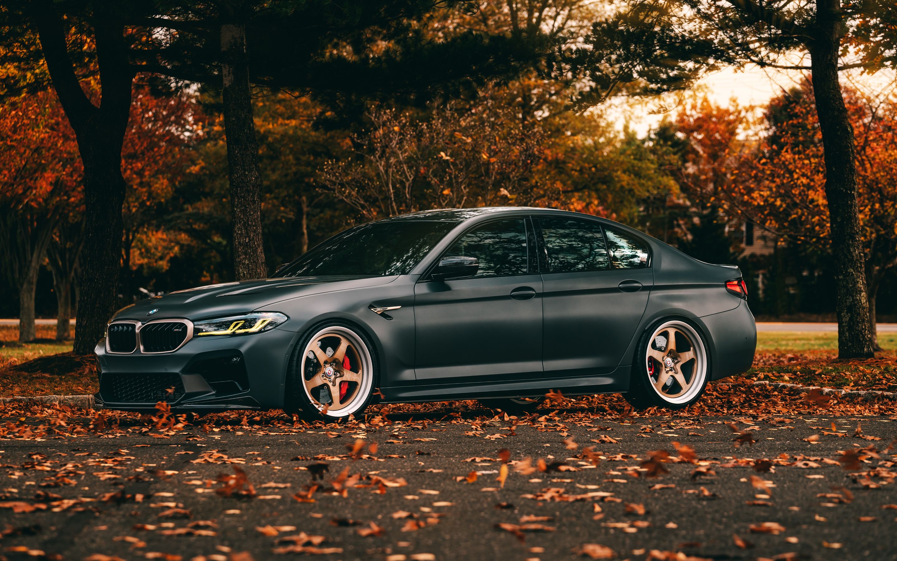 2880x1800 Download BMW M5 CS Autumn, Bmw, BMW M M5CS, Autumn Wallpaper in 2880x1800 Resolution