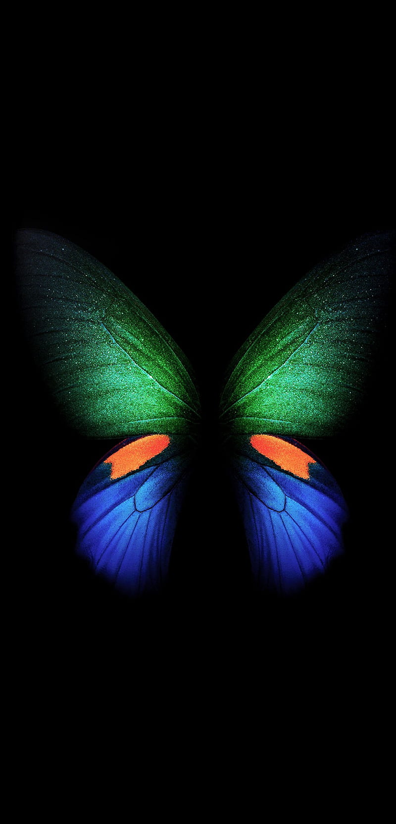 800x1663 HD samsung galaxy fold wallpaper