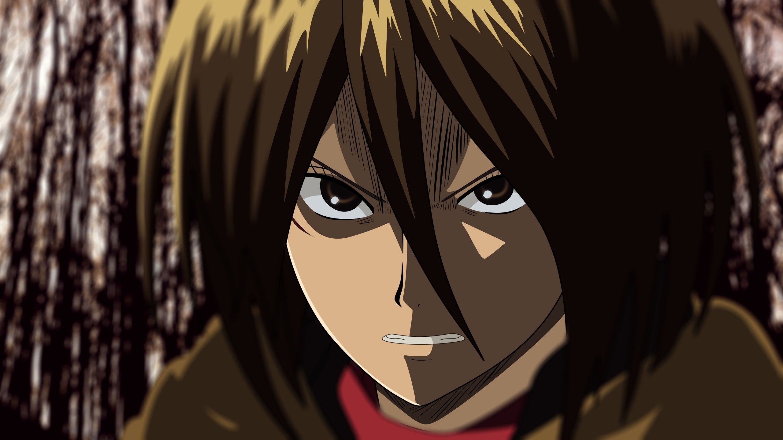 2560x1440 Attack On Titan Mikasa Ackerman On Closeup 4K HD Anime Wallpaper