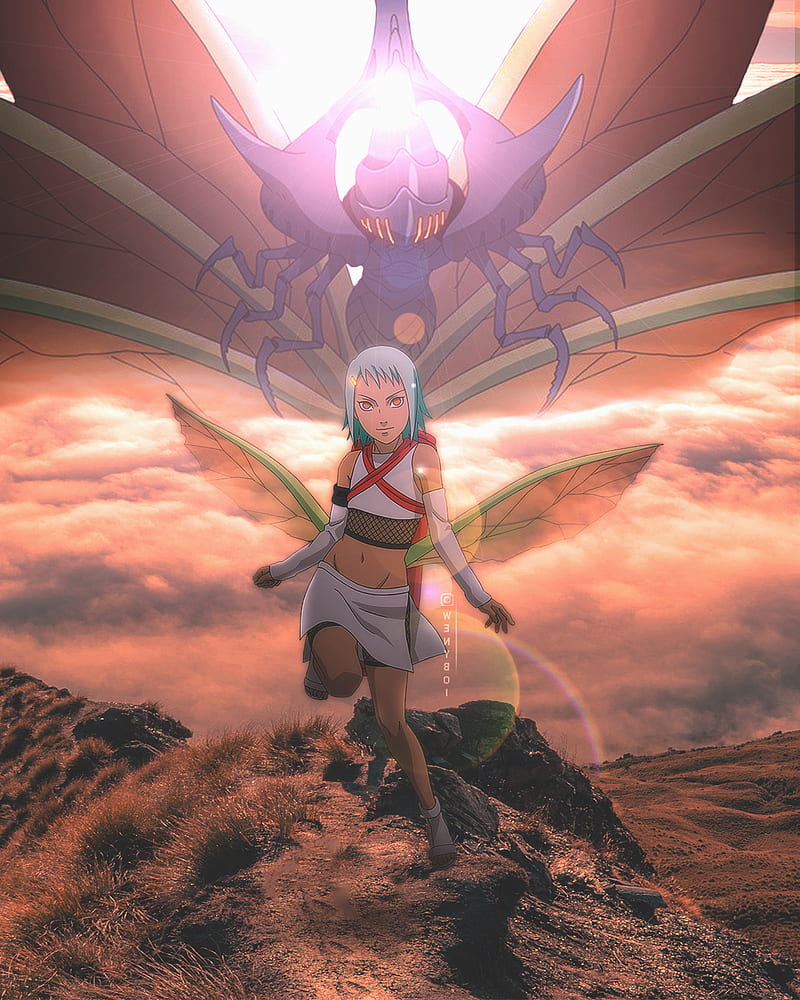 800x1000 Fuu, butterfly, cloud, cool, fu, jinchuriki, naruto, sky, sunset, HD phone wallpaper